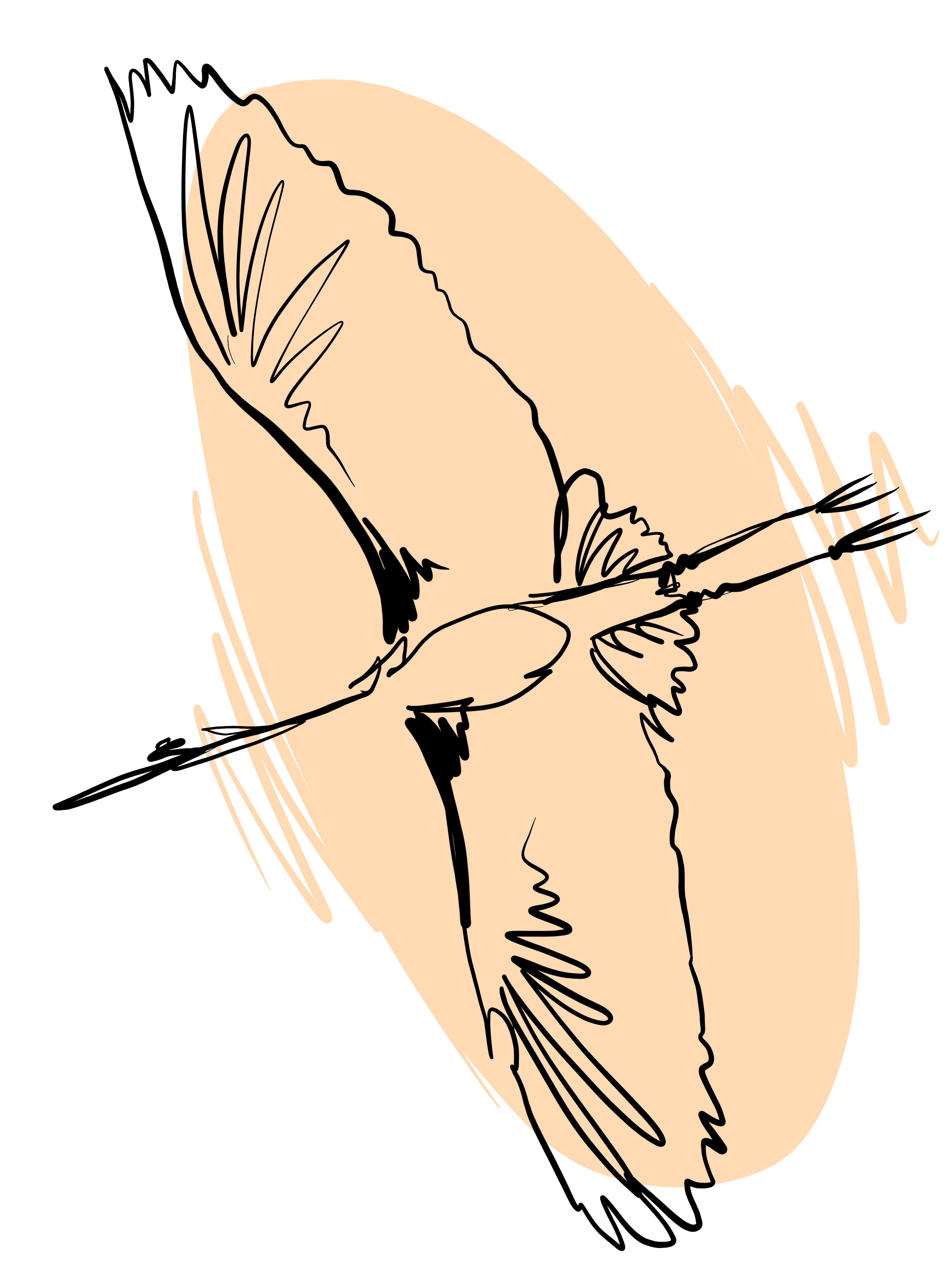 Иллюстрация_без_названия 1.jpeg