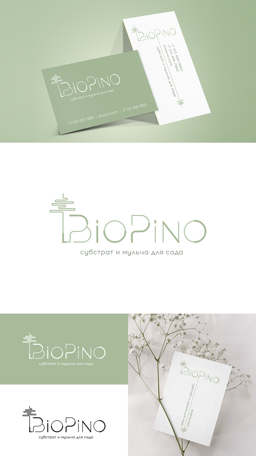 BioPino1.jpg