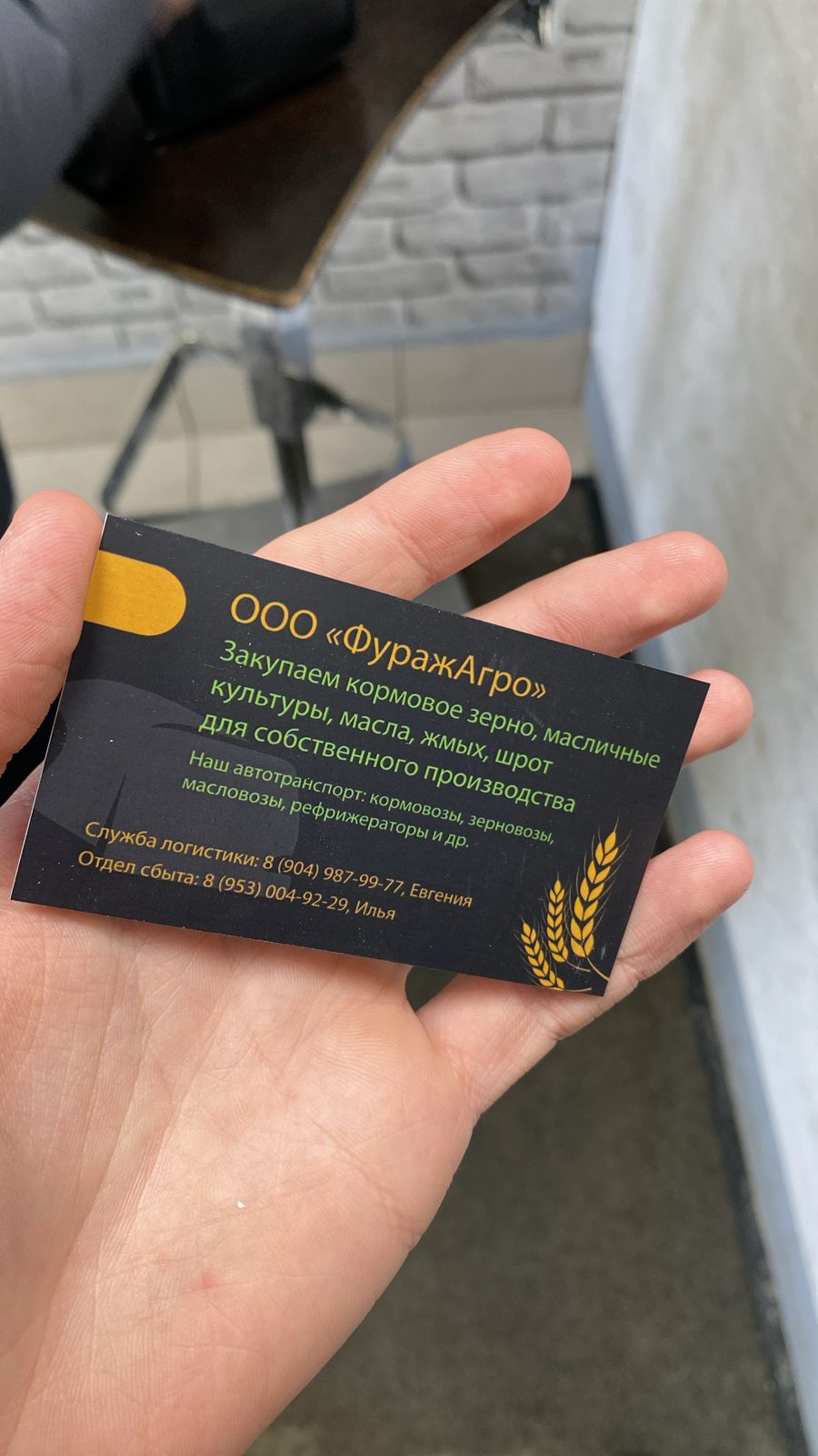 WhatsApp Image 2024-02-20 at 22.11.29.jpeg