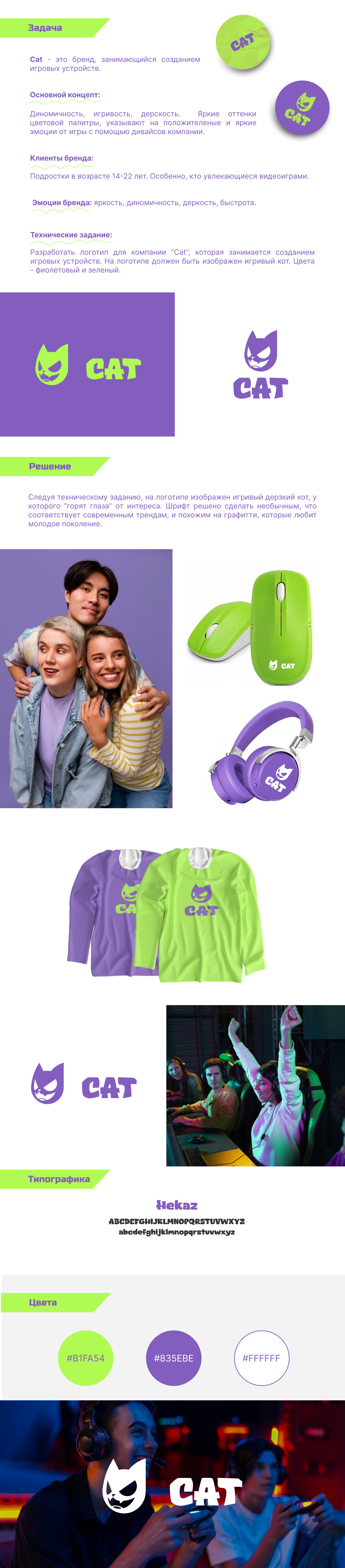 кот портфолио (1).png