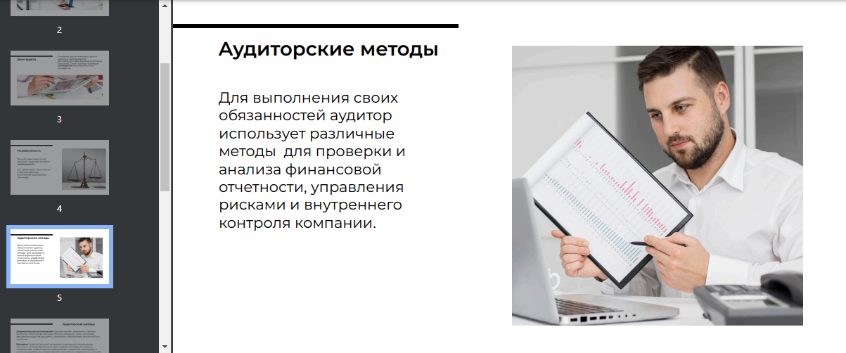 Внешний аудитор 5.png
