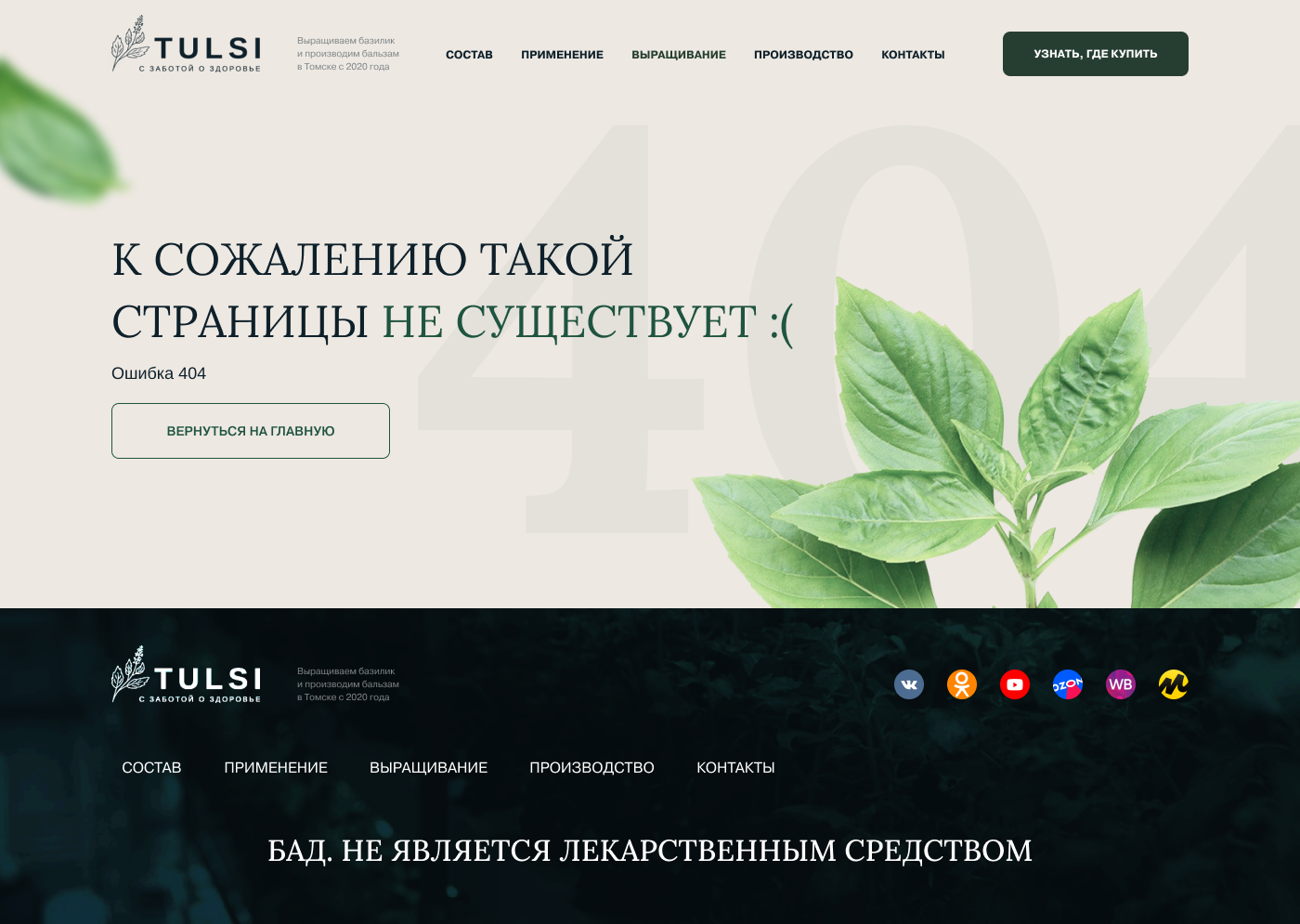 Дизайн 404.png