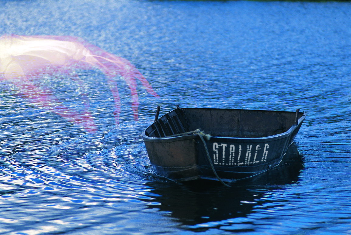 stalker-15.jpg