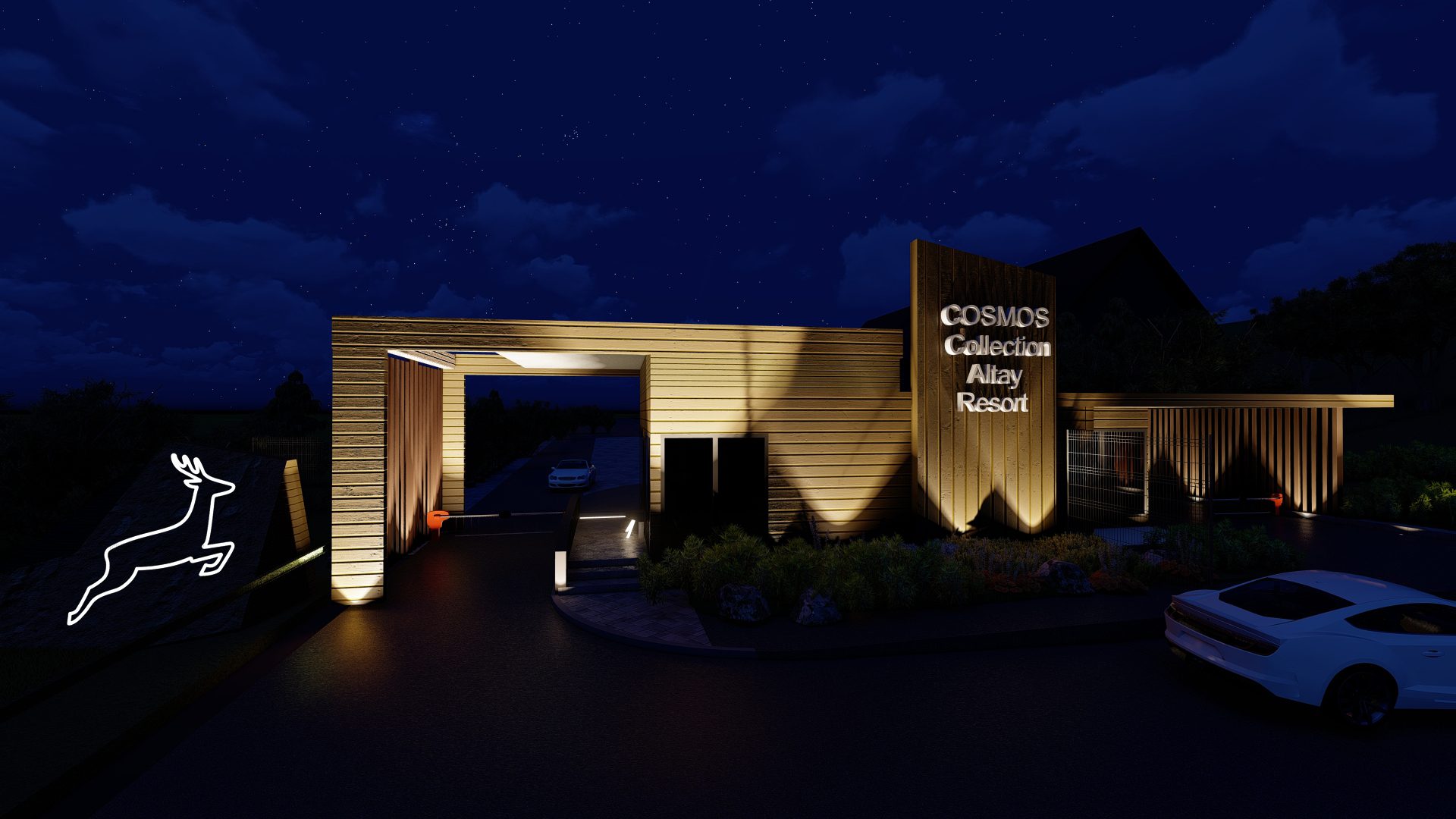 вариант ночь2.jpg