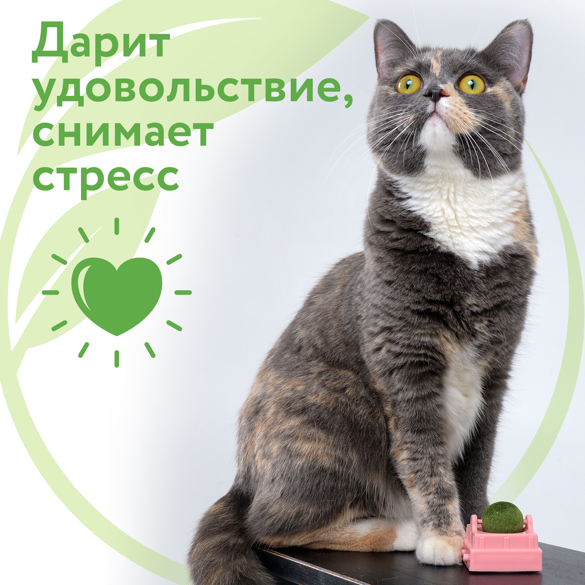 Мята_2.jpg