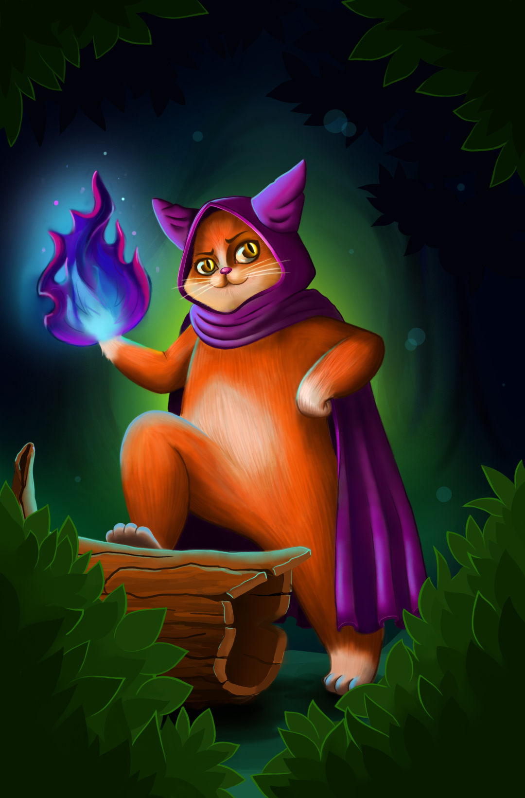 кот-маг-путешественник.jpg