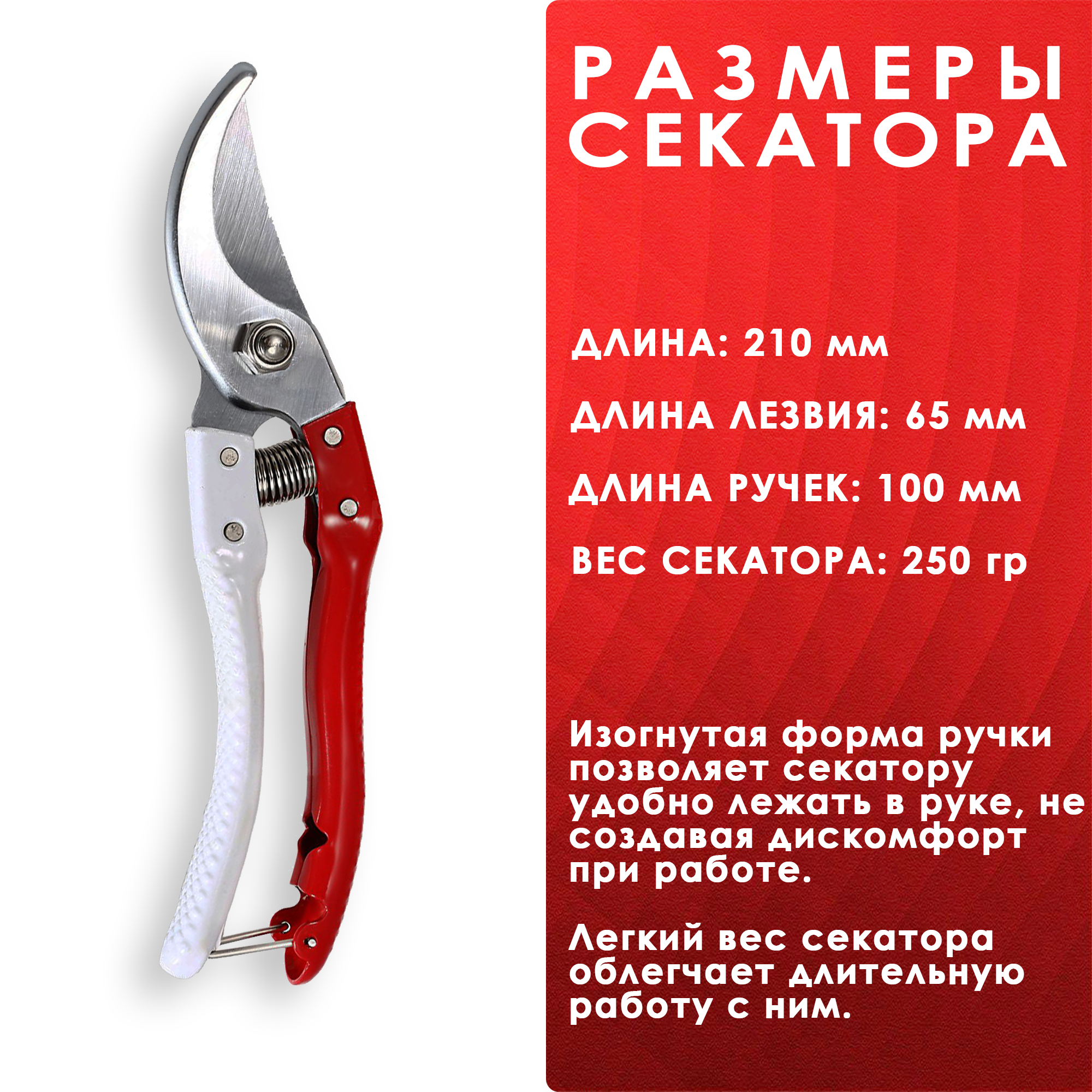 КБ 2.png