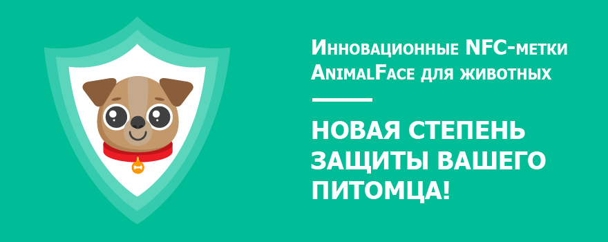 AnimalFace_Слайдер на главную-01.png