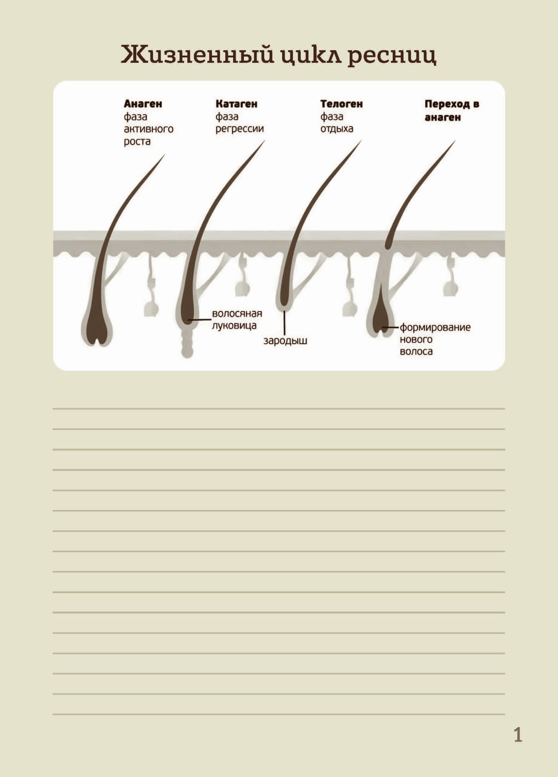 Страницы из обрезблакнот(Итог) (1) (1)-2.jpg
