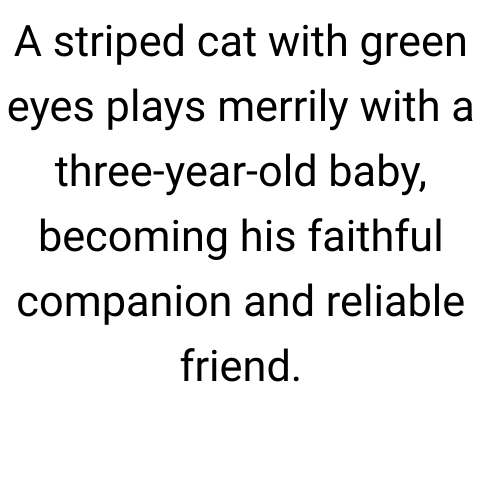 ОПИСАНИ МАЛЫША И КОТА.png