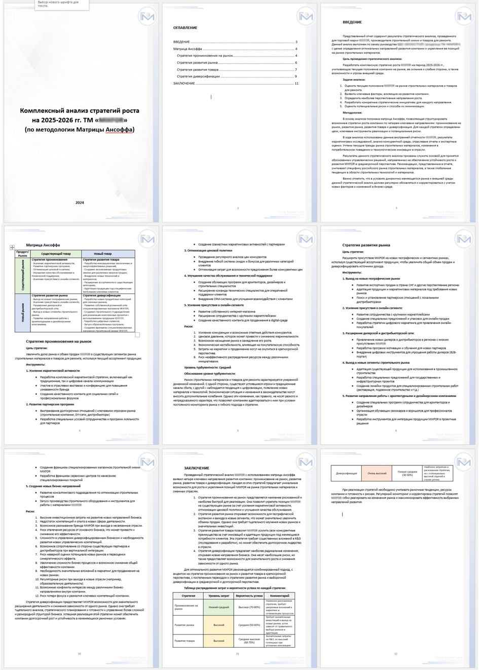 Ansoffa_MIX_2024_22.jpg