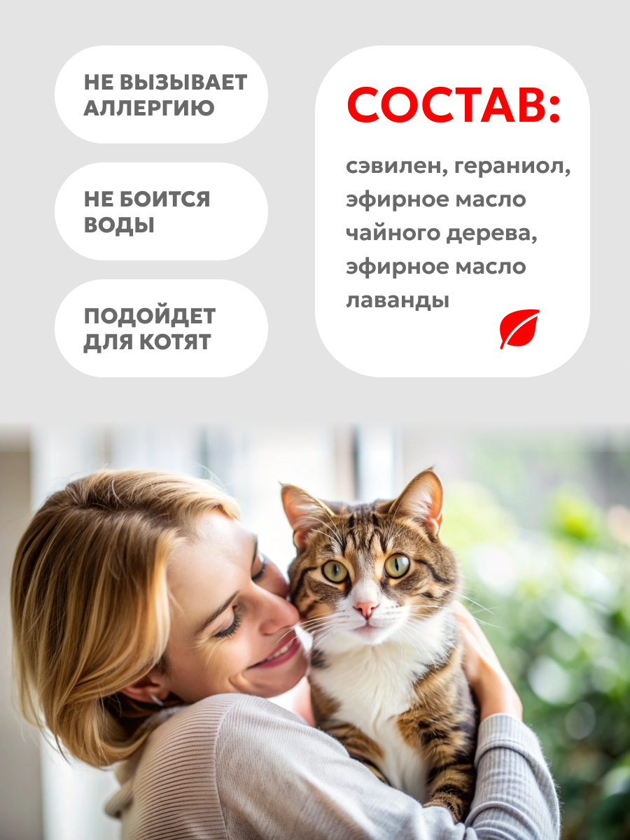 КОТ 2.png