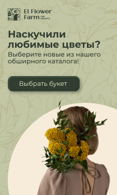 Баннер Яндекс.png