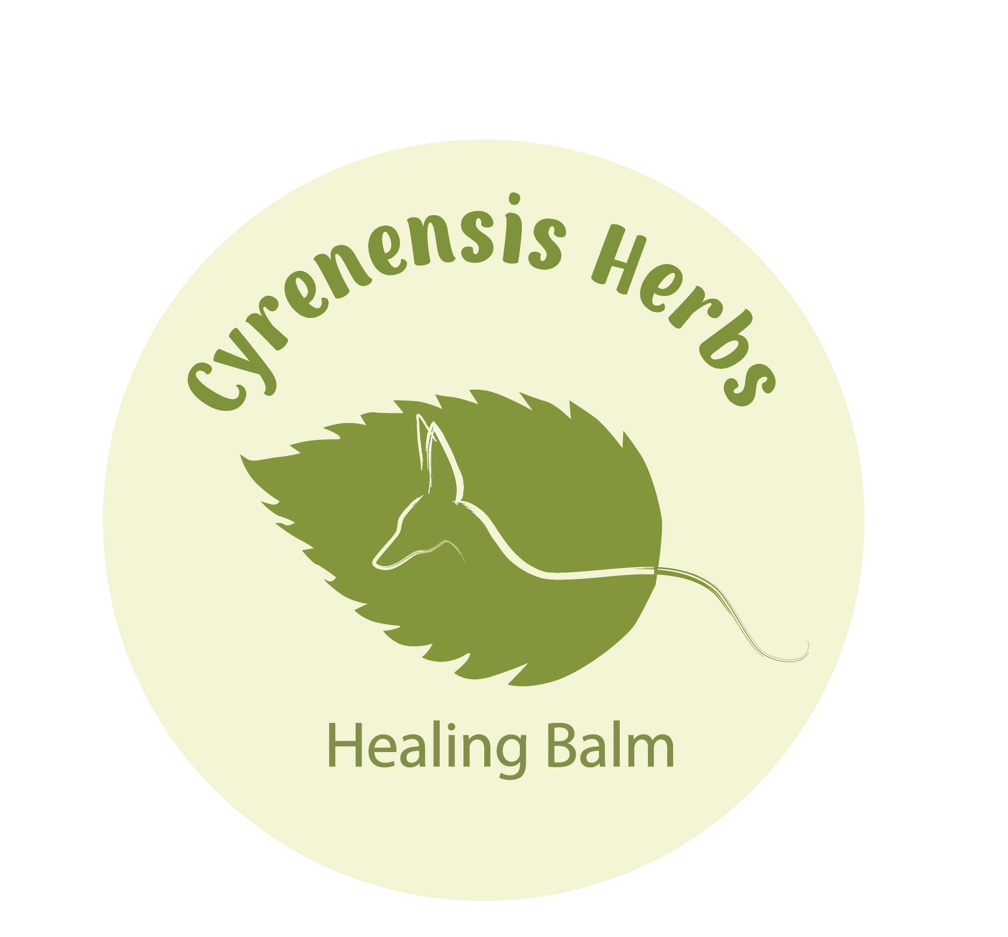 выбранный набросок.jpg