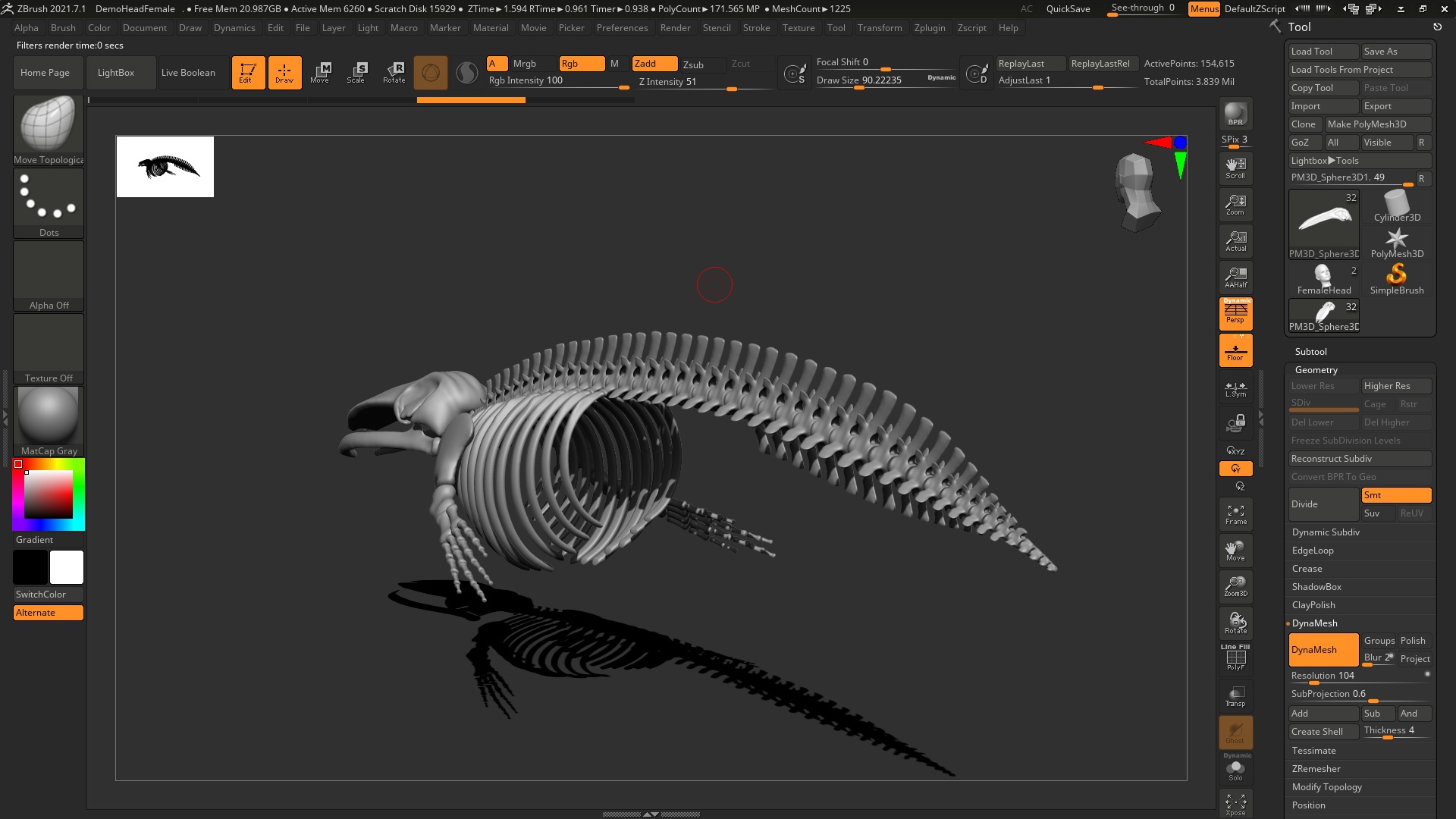 скелет кита 3.jpg