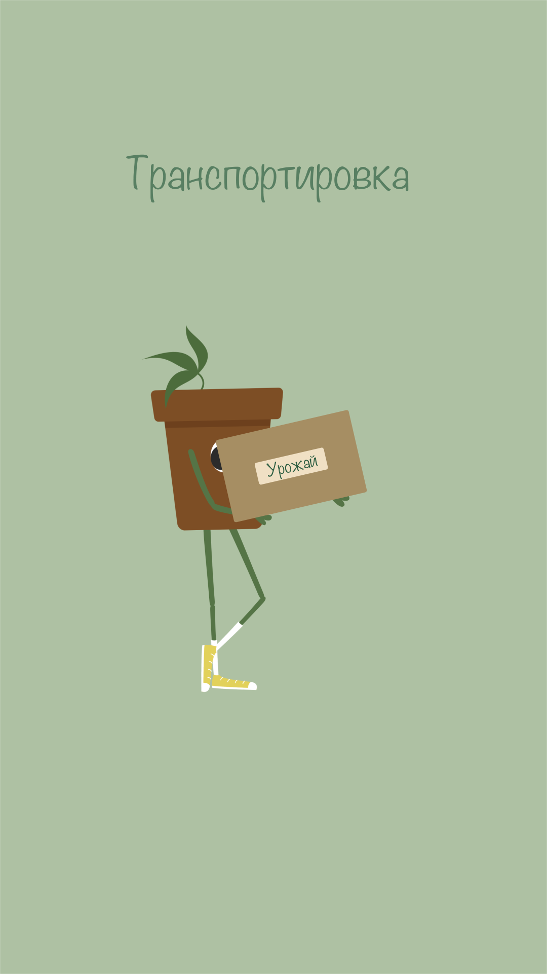 1S_2.png