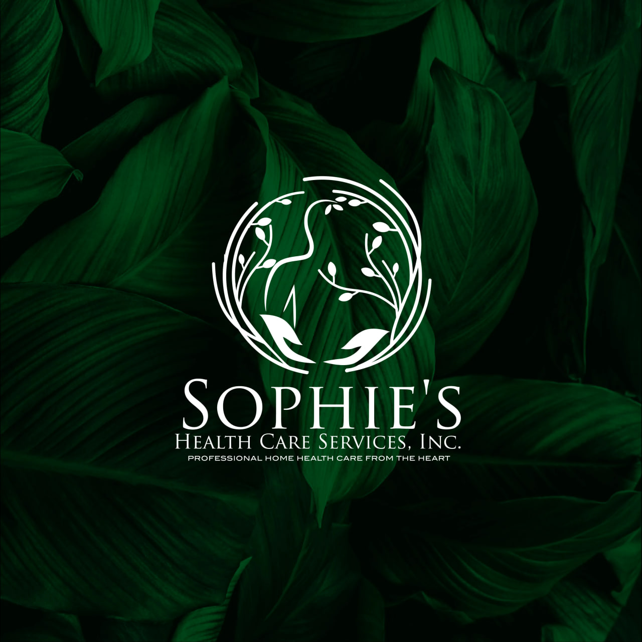 photo_2025-01-10_12-54-37 (3).jpg