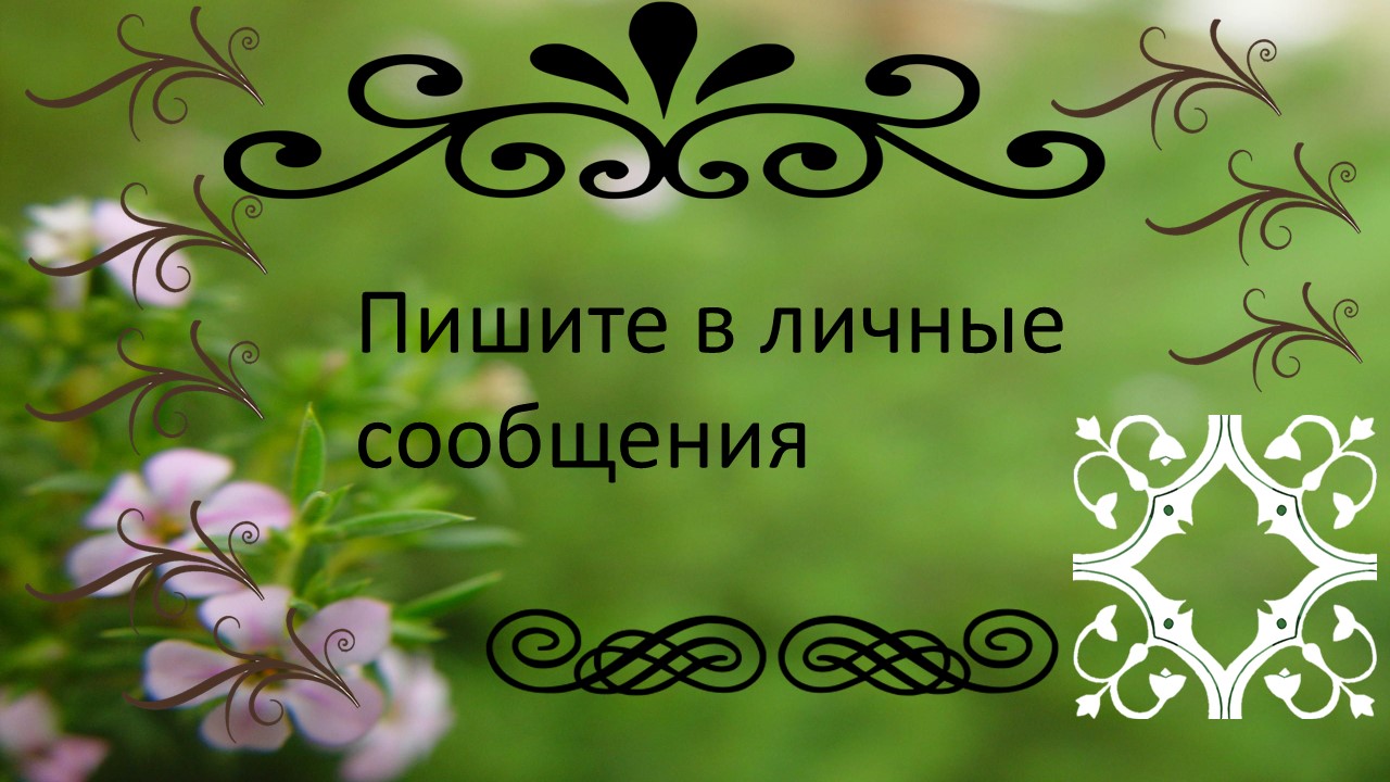 Слайд3.JPG