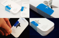 Визитки ЛарсГрупп 2009