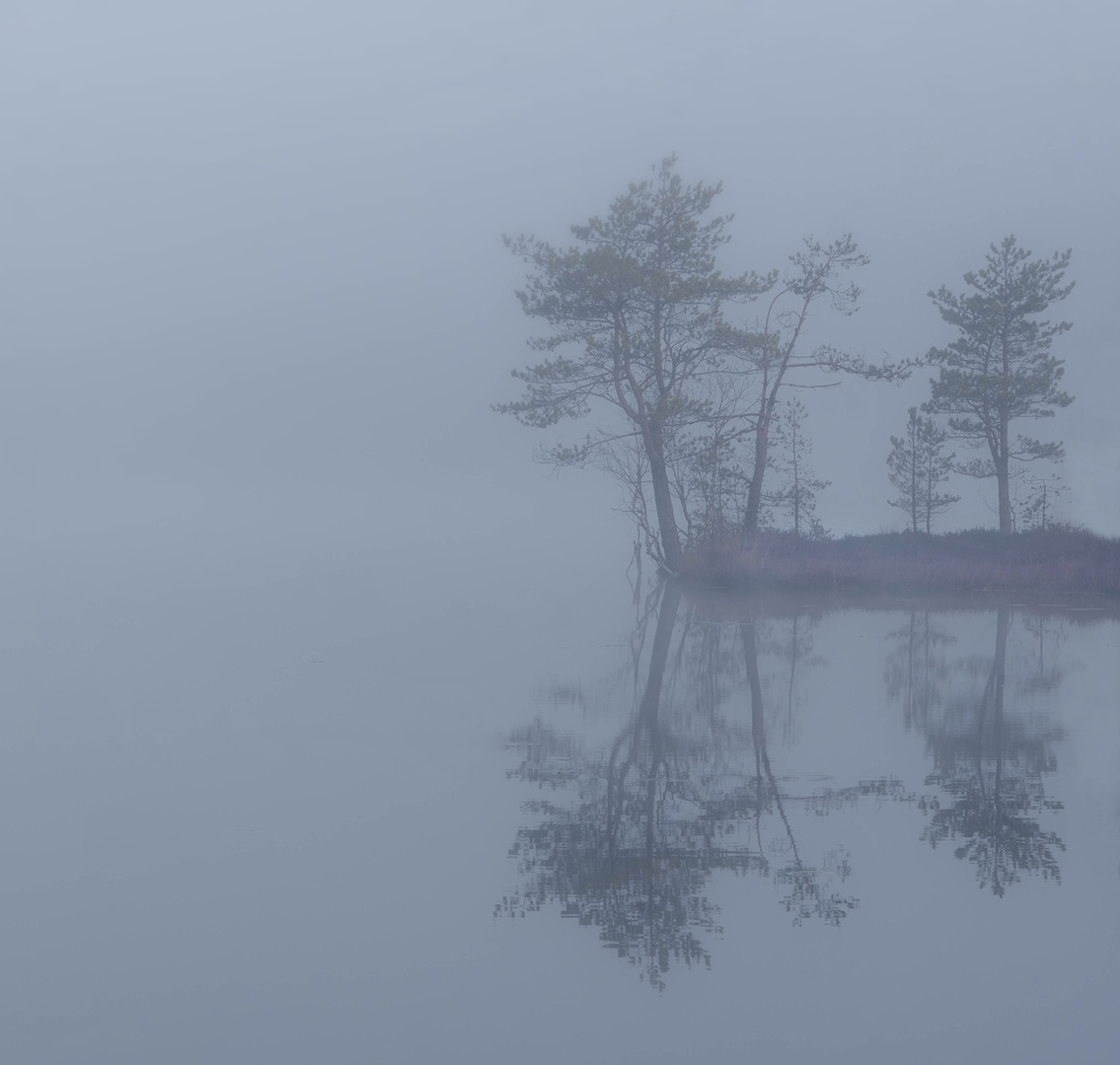 pic3669620.jpg