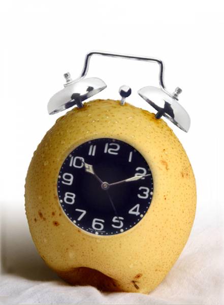 pic18442.jpg
