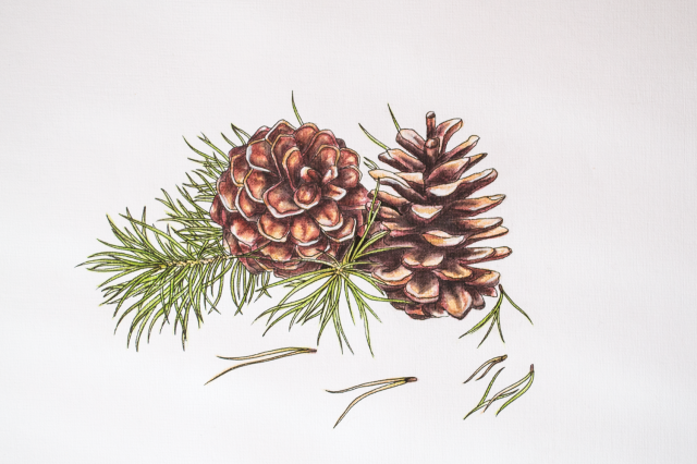 Работа 3204157