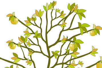 Apple Tree