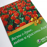 листовки \ мегафон