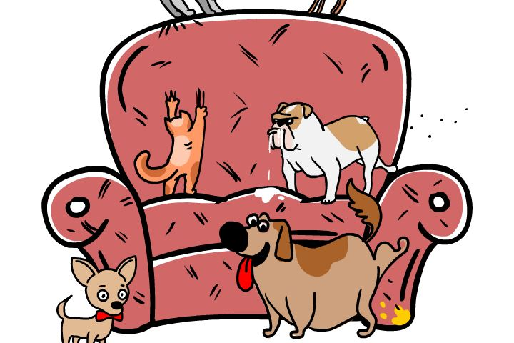 Диван на все случаи жизни