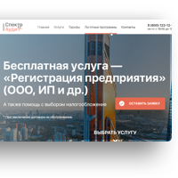 СПЕКТР-АУДИТ