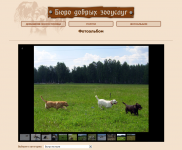 Бюро добрых Зоослуг