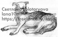 рисунок карандашом собака