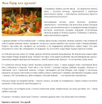 Борщ или жульен?