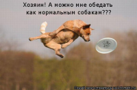 Тыринг... зыринг... драпинг!!!