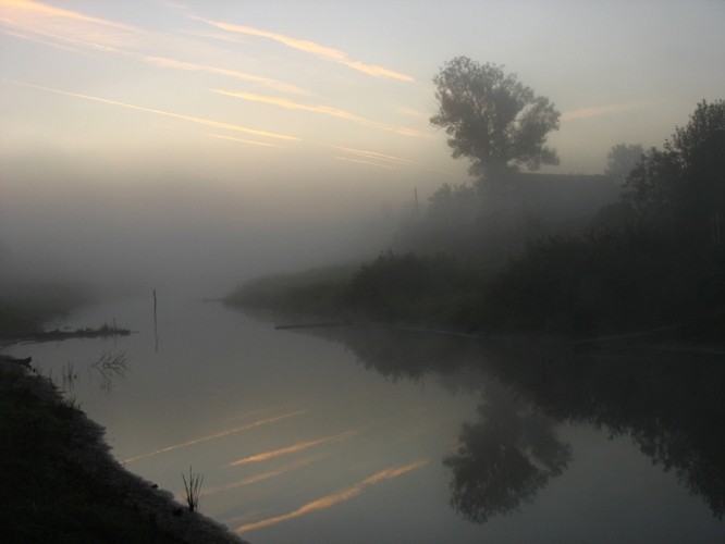 pic178833.jpg