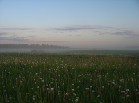 нирвана