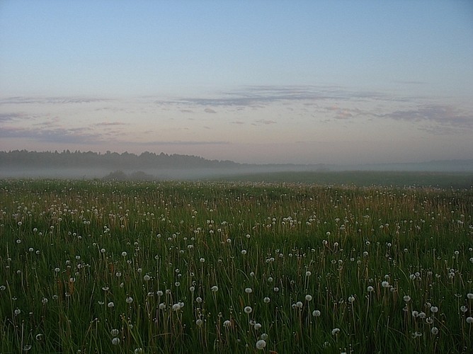 pic178832.jpg