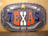 ДЕКОРАТИВНАЯ ВСТАВКА В ИНТЕРЬЕР_2