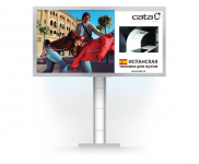 Cata
