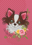 Chi Chi Pet
