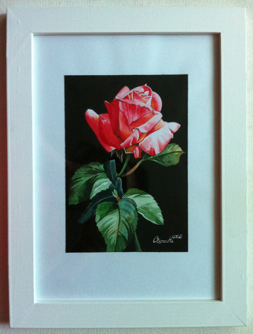 Роза (в рамке). Акв. бумага, акварель.