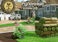 Дизайн сайта компании "Рулонные газоны"