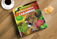 Дизайн обложки