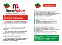Листовка "Профаудит"