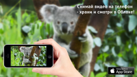 облако_mail.ru_2