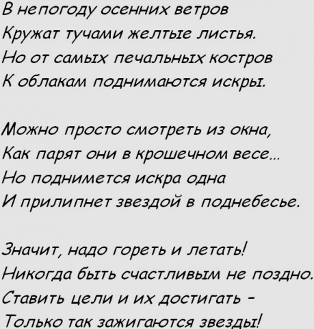 Звёздному шефу