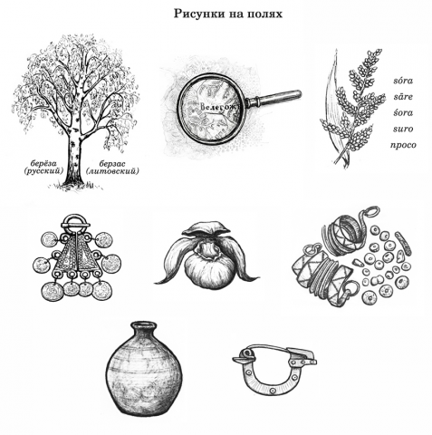 Рисунки на полях для книги по истории