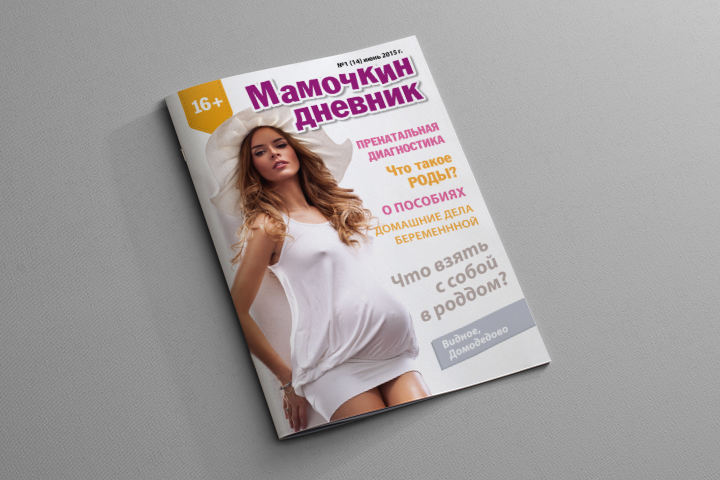 Журнал «Мамочкин дневник» (Видное, Домодедово)
