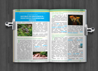 Аквариумная почемучка, внутренний разворот