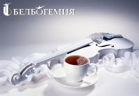 Скрипка